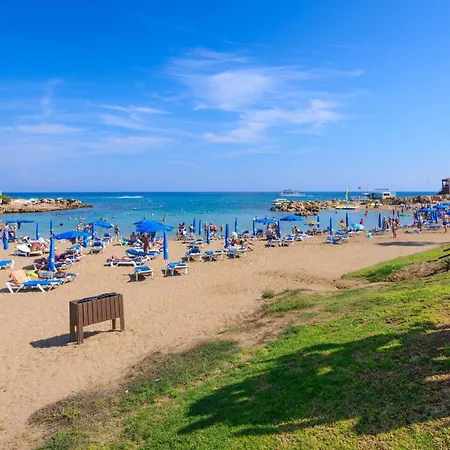 Jacqueline 普罗塔拉斯