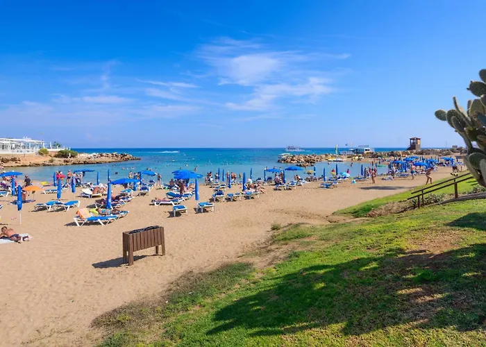 Jacqueline 프로타라스